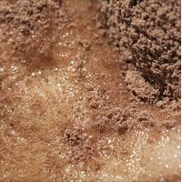 GoodMind Mushroom Powder Sachets